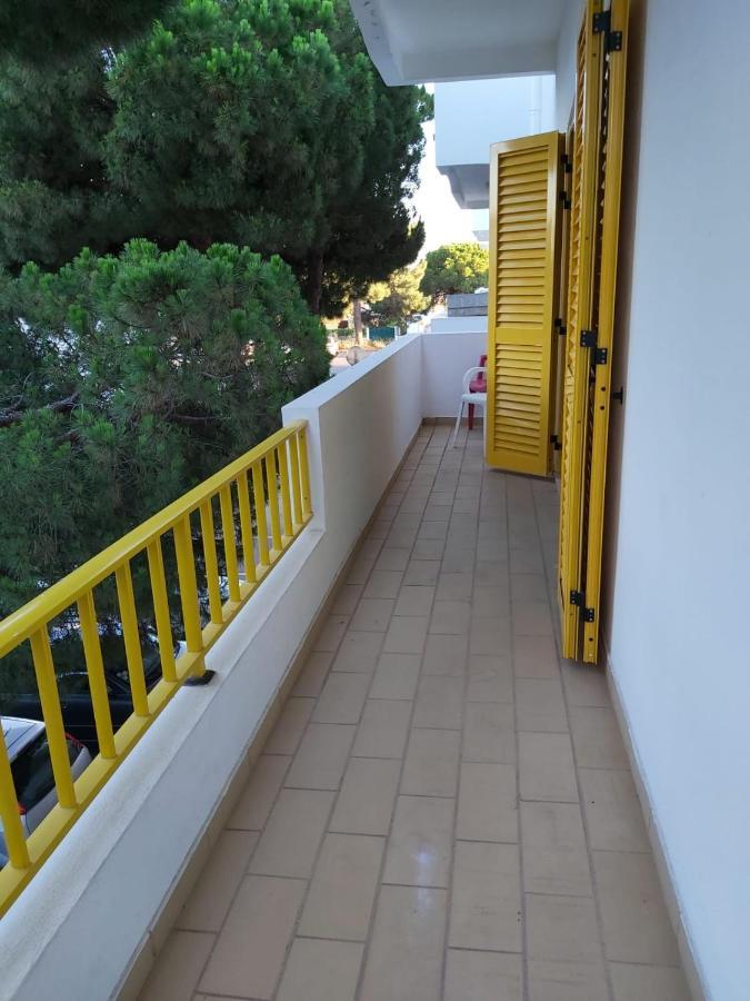 Gelbblau Falesia Αλμπουφέιρα Εξωτερικό φωτογραφία
